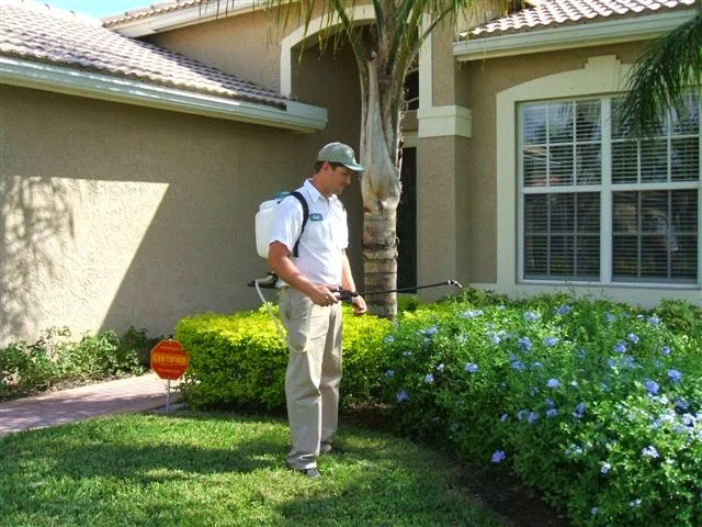 How To Schedule Pest Control Services In Oxnard, CA